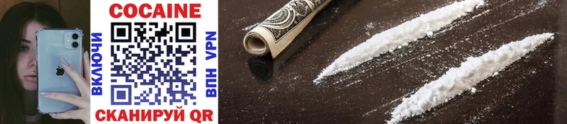 COCAIN Fish Scale  KRAKEN ссылка  Починок 