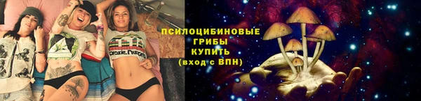 mix Новодвинск