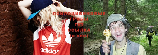 альфа пвп Нефтекумск